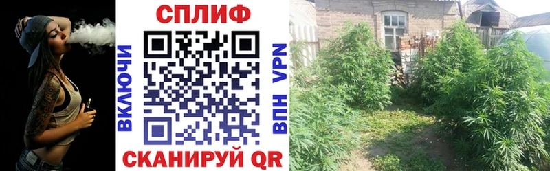 Цена Менделеевск Кокаин  Меф  Амфетамин  Бошки Шишки  Alpha-PVP 