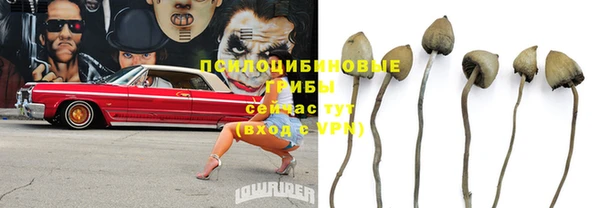 эйфоретик Надым