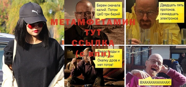 молекула духа Михайлов