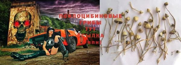 молекула духа Михайлов