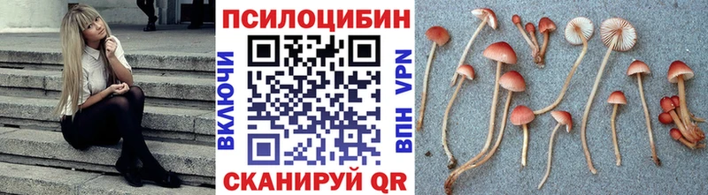 omg вход  наркошоп  Менделеевск  Галлюциногенные грибы Cubensis 
